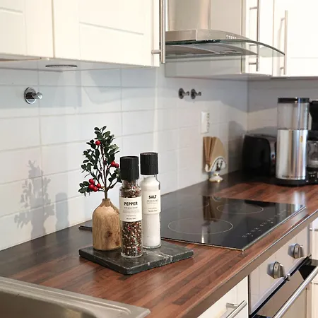 Lappi Loft Apartmán *